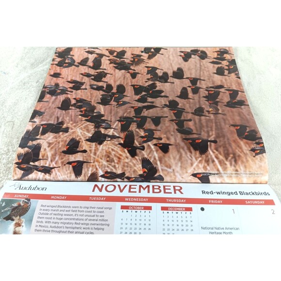 Audubon Society 2024 Wall Calendar 12 Months Protecting Birds and Nature - Picture 11 of 12